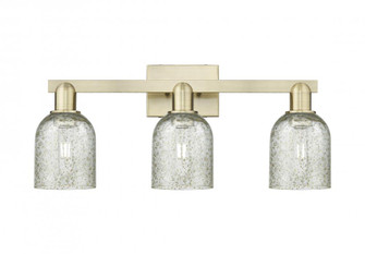 Caledonia - 3 Light - 24 inch - Antique Brass - Bath Vanity Light (3442|716-3W-AB-G259)