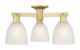 Castile - 3 Light - 24 inch - Satin Gold - Semi-Flush Mount (3442|716-3F-SG-G381)