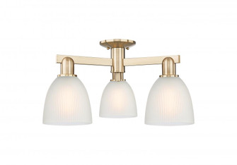 Castile - 3 Light - 24 inch - Champagne Bronze - Semi-Flush Mount (3442|716-3F-CB-G381)