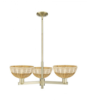 Bristol Natural II - 3 Light - 31 inch - Antique Brass - Stem hung - Pendant (3442|716-3CR-AB-NBD2-9-NAT)