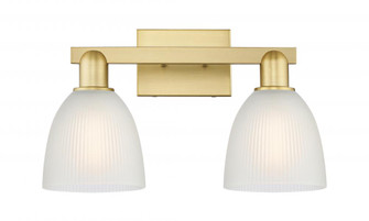 Castile - 2 Light - 17 inch - Satin Gold - Bath Vanity Light (3442|716-2W-SG-G381)