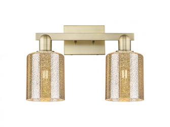 Cobbleskill - 2 Light - 16 inch - Antique Brass - Bath Vanity Light (3442|716-2W-AB-G116)