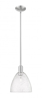 Bristol - 1 Light - 9 inch - Brushed Satin Nickel - Stem hung - Mini Pendant (3442|716-1S-SN-GBD-94)