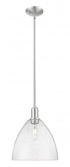 Bristol - 1 Light - 12 inch - Brushed Satin Nickel - Stem hung - Mini Pendant (3442|716-1S-SN-GBD-124)