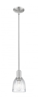 Brookfield - 1 Light - 6 inch - Brushed Satin Nickel - Stem hung - Mini Pendant (3442|716-1S-SN-G442)