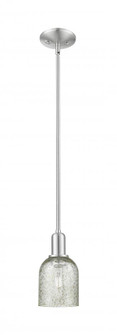 Caledonia - 1 Light - 5 inch - Brushed Satin Nickel - Stem hung - Mini Pendant (3442|716-1S-SN-G259)
