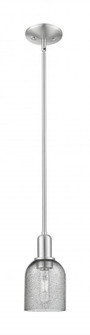 Caledonia - 1 Light - 5 inch - Brushed Satin Nickel - Stem hung - Mini Pendant (3442|716-1S-SN-G257)