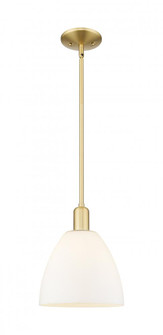 Bristol - 1 Light - 9 inch - Satin Gold - Stem hung - Mini Pendant (3442|716-1S-SG-GBD-91)