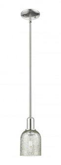 Caledonia - 1 Light - 5 inch - Polished Nickel - Stem hung - Mini Pendant (3442|716-1S-PN-G259)