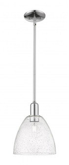 Bristol - 1 Light - 9 inch - Polished Chrome - Stem hung - Mini Pendant (3442|716-1S-PC-GBD-94)
