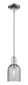 Caledonia - 1 Light - 5 inch - Polished Chrome - Stem hung - Mini Pendant (3442|716-1S-PC-G257)