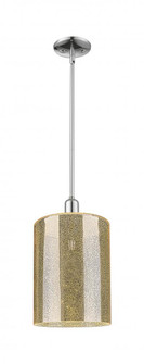 Cobbleskill - 1 Light - 5 inch - Polished Chrome - Stem hung - Mini Pendant (3442|716-1S-PC-G116)