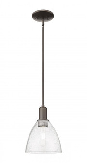 Bristol - 1 Light - 8 inch - Oil Rubbed Bronze - Stem hung - Mini Pendant (3442|716-1S-OB-GBD-754)