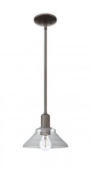 Orwell - 1 Light - 8 inch - Oil Rubbed Bronze - Stem hung - Mini Pendant (3442|716-1S-OB-G132)