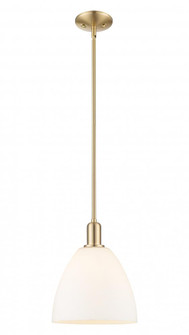 Bristol - 1 Light - 9 inch - Champagne Bronze - Stem hung - Mini Pendant (3442|716-1S-CB-GBD-91)