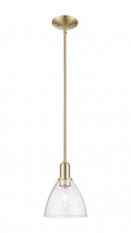 Bristol - 1 Light - 8 inch - Champagne Bronze - Stem hung - Mini Pendant (3442|716-1S-CB-GBD-754)