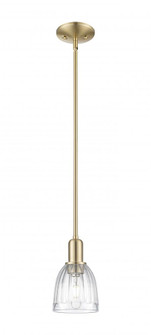 Brookfield - 1 Light - 6 inch - Champagne Bronze - Stem hung - Mini Pendant (3442|716-1S-CB-G442)