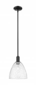 Bristol - 1 Light - 9 inch - Matte Black - Stem hung - Mini Pendant (3442|716-1S-BK-GBD-94)