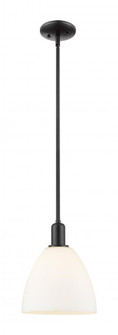 Bristol - 1 Light - 9 inch - Matte Black - Stem hung - Mini Pendant (3442|716-1S-BK-GBD-91)