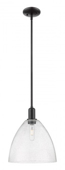 Bristol - 1 Light - 12 inch - Matte Black - Stem hung - Mini Pendant (3442|716-1S-BK-GBD-124)