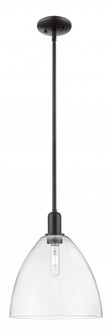 Bristol - 1 Light - 12 inch - Matte Black - Stem hung - Mini Pendant (3442|716-1S-BK-GBD-122)