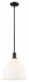 Bristol - 1 Light - 12 inch - Matte Black - Stem hung - Mini Pendant (3442|716-1S-BK-GBD-121)