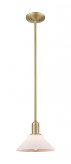 Orwell - 1 Light - 8 inch - Brushed Brass - Stem hung - Mini Pendant (3442|716-1S-BB-G131)