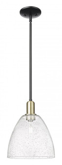 Bristol - 1 Light - 9 inch - Black Antique Brass - Stem hung - Mini Pendant (3442|716-1S-BAB-GBD-94)