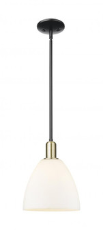 Bristol - 1 Light - 9 inch - Black Antique Brass - Stem hung - Mini Pendant (3442|716-1S-BAB-GBD-91)