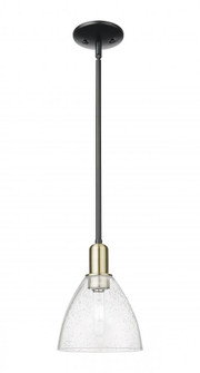 Bristol - 1 Light - 8 inch - Black Antique Brass - Stem hung - Mini Pendant (3442|716-1S-BAB-GBD-754)