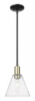 Berkshire Glass - 1 Light - 8 inch - Black Antique Brass - Stem hung - Mini Pendant (3442|716-1S-BAB-GBC-84)