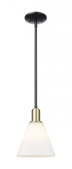 Berkshire Glass - 1 Light - 8 inch - Black Antique Brass - Stem hung - Mini Pendant (3442|716-1S-BAB-GBC-81)