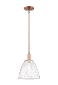 Bristol - 1 Light - 9 inch - Antique Copper - Stem hung - Mini Pendant (3442|716-1S-AC-GBD-94)