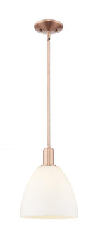 Bristol - 1 Light - 9 inch - Antique Copper - Stem hung - Mini Pendant (3442|716-1S-AC-GBD-91)