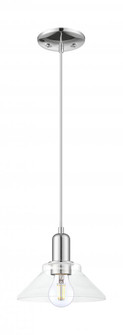 Orwell - 1 Light - 8 inch - Polished Chrome - Cord hung - Mini Pendant (3442|716-1P-PC-G132)