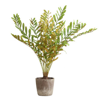 Uttermost Zamia Palm Accent In Planter (85|60243)