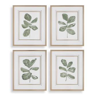 Uttermost Fiddle Head Leaf Botanical Prints Set/4 (85|32454)