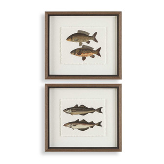 Uttermost The Catch Framed Fish Prints Set/2 (85|32448)