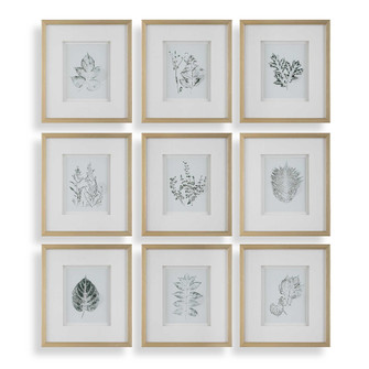Uttermost Nature's Script Framed Botanical Prints Set/9 (85|32449)