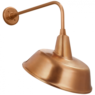 Academy 20'' Rex Barn Light (279|TOB 2809SC/S4-SC)