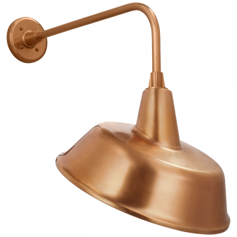 Academy 20'' Rex Barn Light (279|TOB 2809SC/S4-SC)