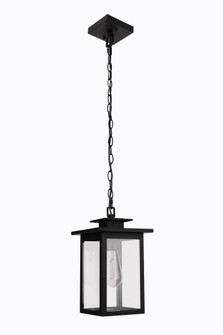 Rock Creek 1 Light Outdoor Pendant in Textured Black (20|ZA7011-TB)