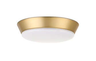 20 Watt LED Light Kit in Satin Brass for the Venn 58'' Ceiling Fan (20|VNN58LK-SB-LED)