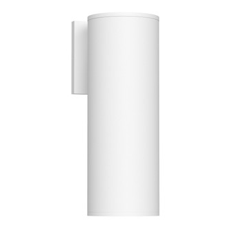 Lorna 12-in (4-in Dia.) 36 Degree Optic White LED Wall Sconce (461|LD4-WS12W24-3036-WH-UNV-010)