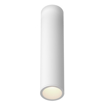 Lorna 11-in (2-in Dia.) 36 Degree Optic White Dimmable LED Cylinder Flush Mount (461|LD2-FM12W12-3036-WH-UNV-010)