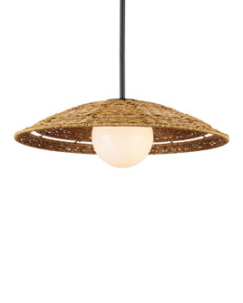 Barbary Small Outdoor Pendant (92|9500-0017)