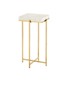 Casey Mother of Pearl Accent Table (92|4000-0225)