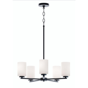 Leo 5 Light Med Base Chandelier, 120V, BK (1|LEOP24MBBK)