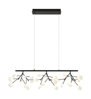 HYDRANGEA BLOOM Chandelier (3605|C69846MB)