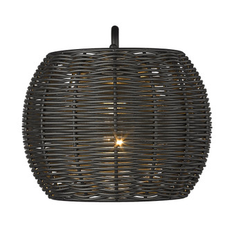 Golden Lighting Vail 1-light Outdoor Wall in Natural Black (36|6074-OWM NB-BRW)